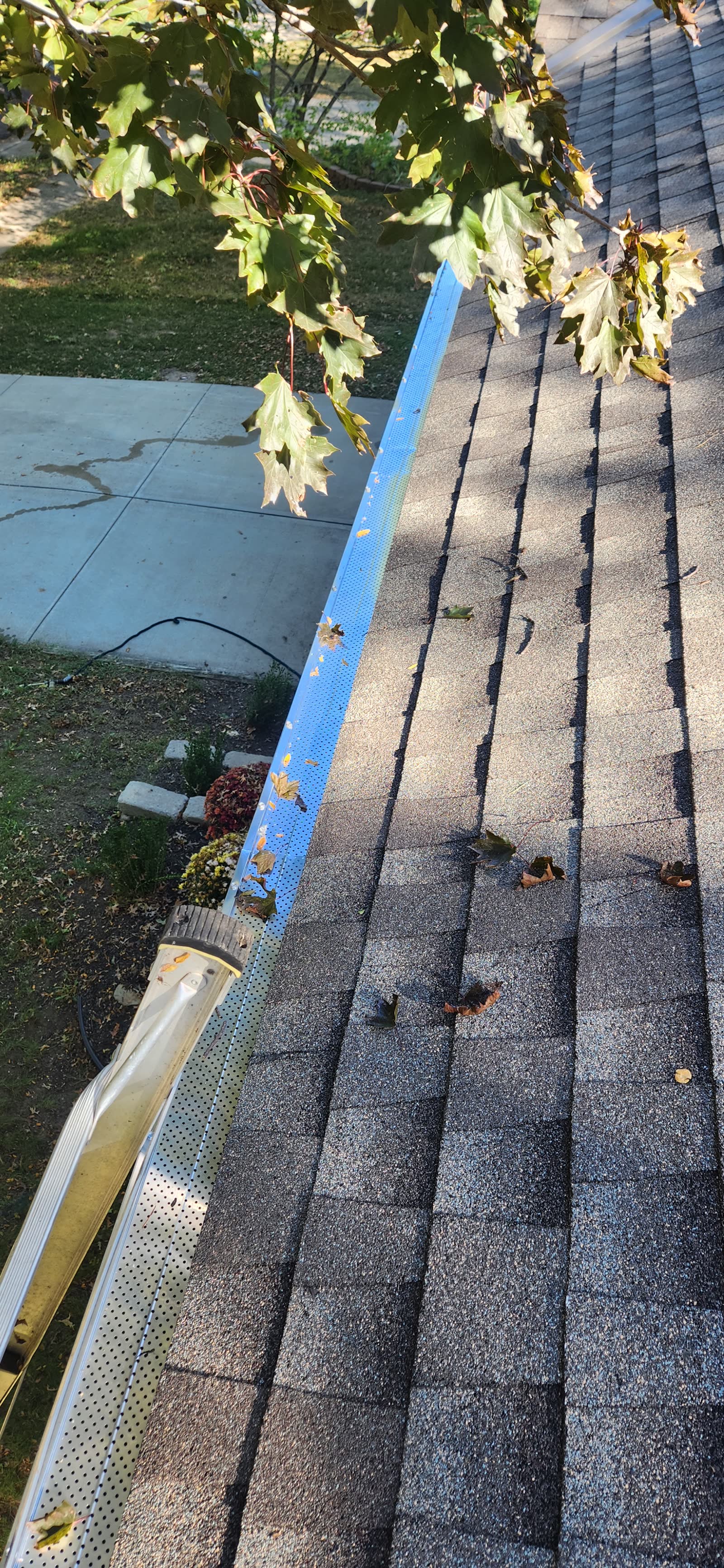 The Gutter Dude job photo