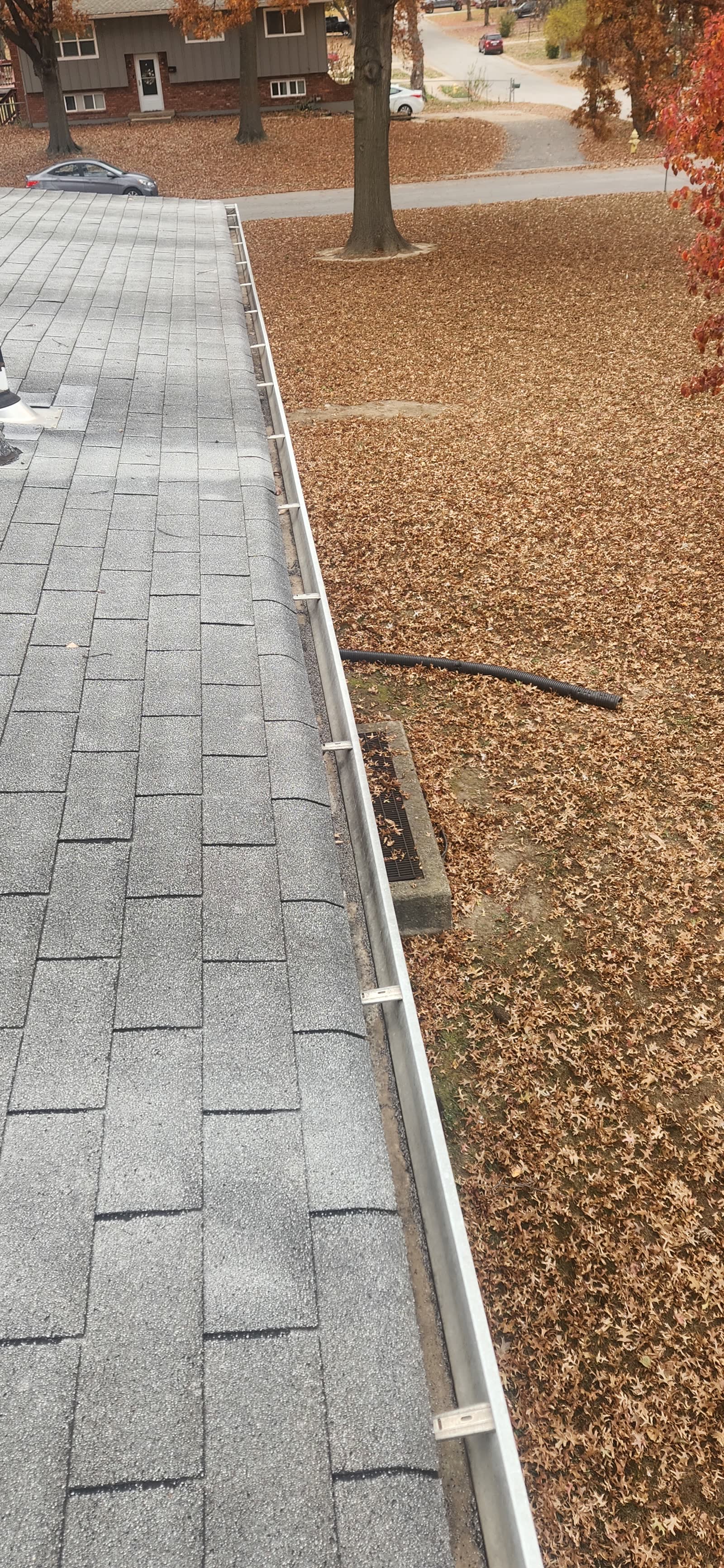 The Gutter Dude job photo
