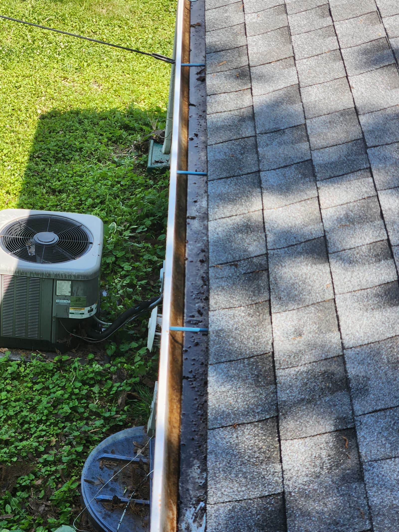 The Gutter Dude job photo