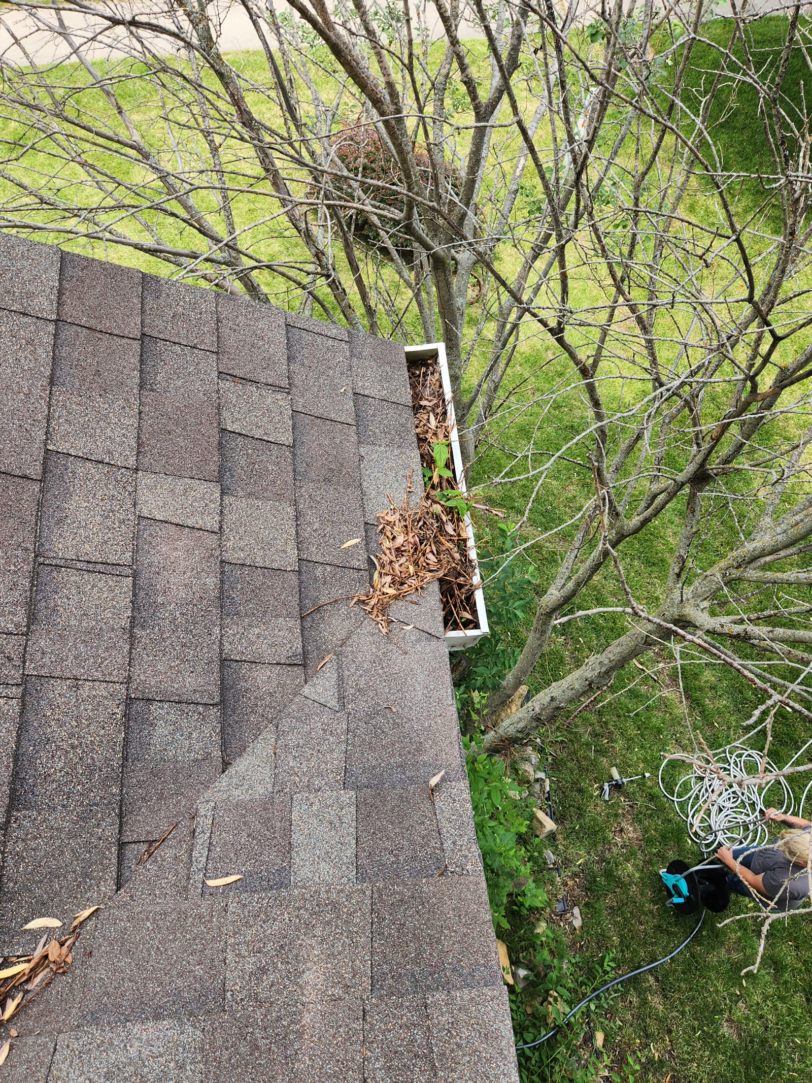 The Gutter Dude job photo