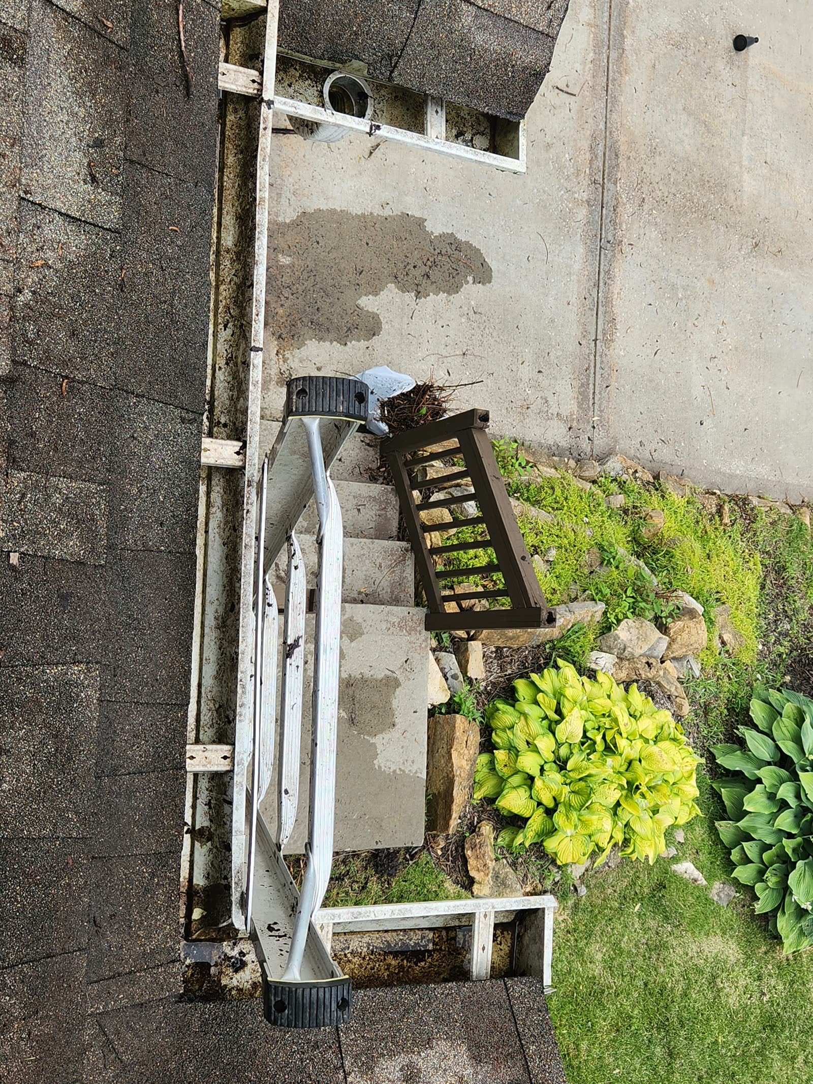 The Gutter Dude job photo