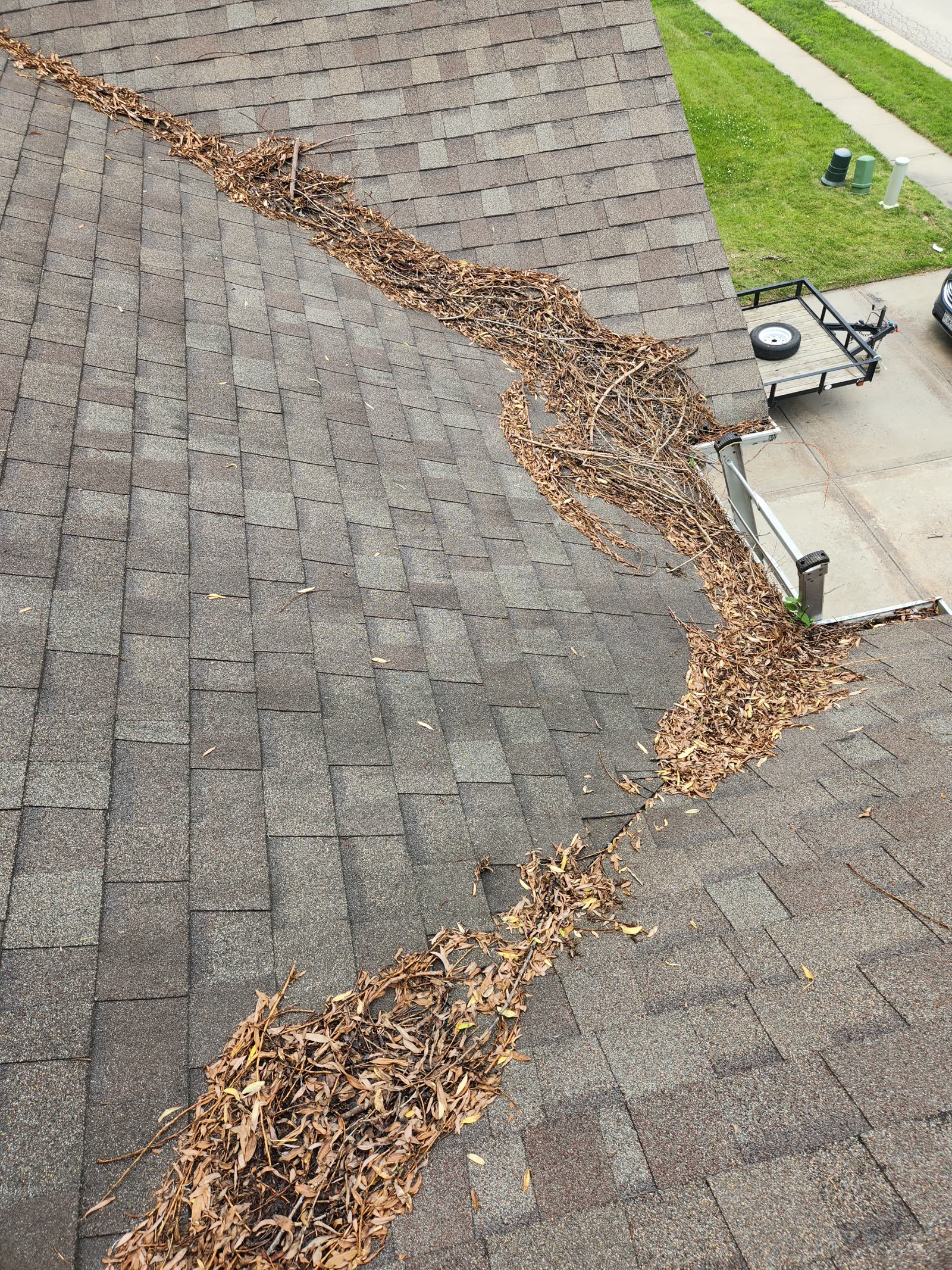 The Gutter Dude job photo
