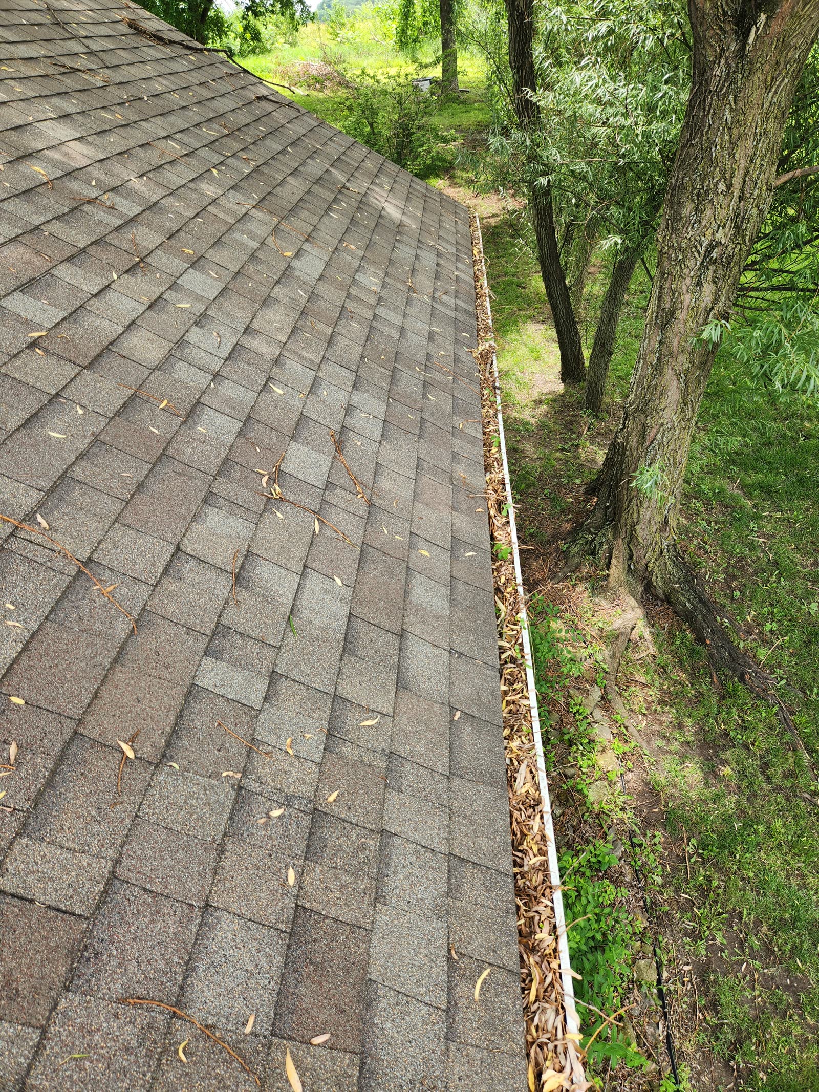 The Gutter Dude job photo