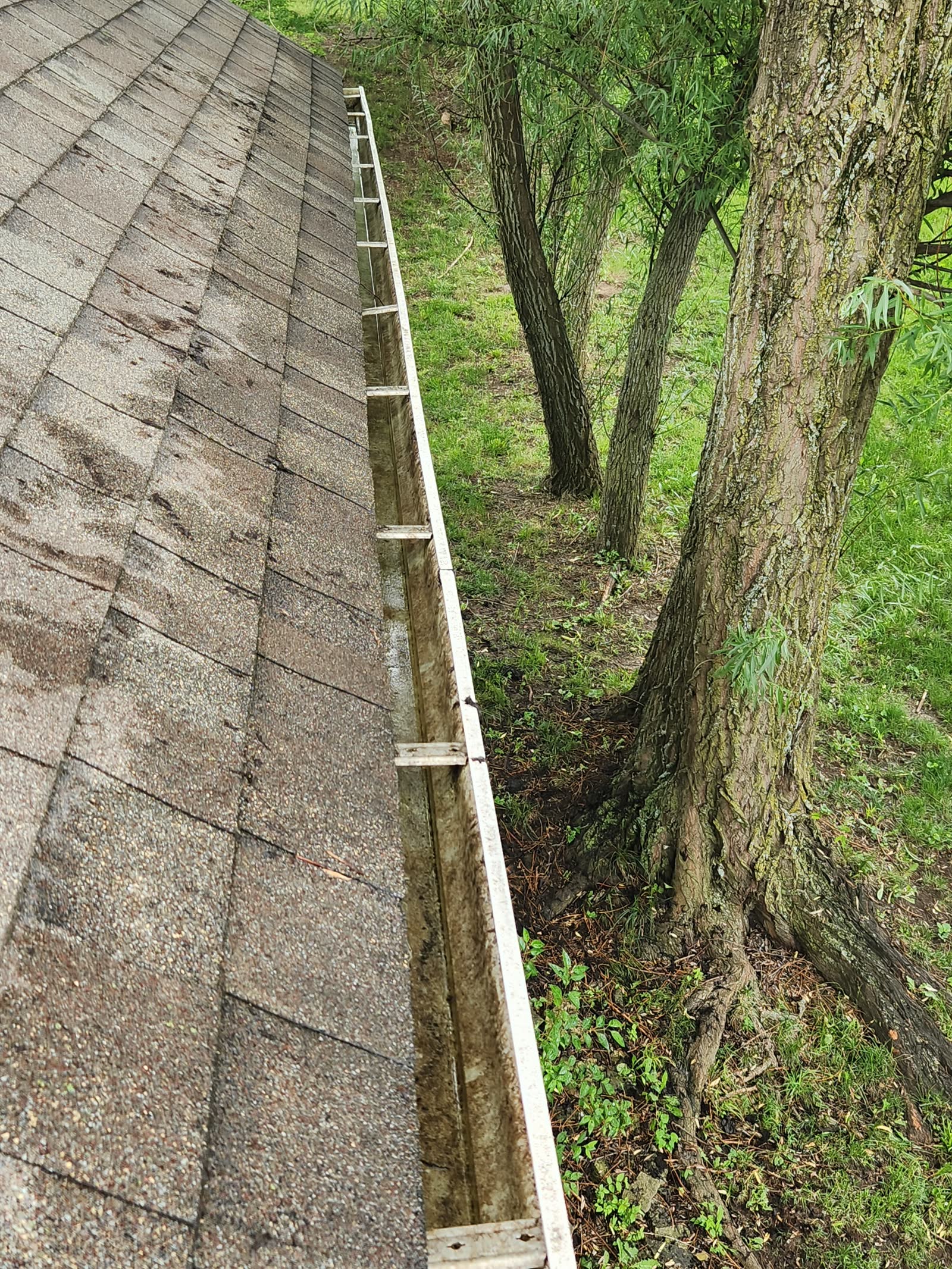 The Gutter Dude job photo