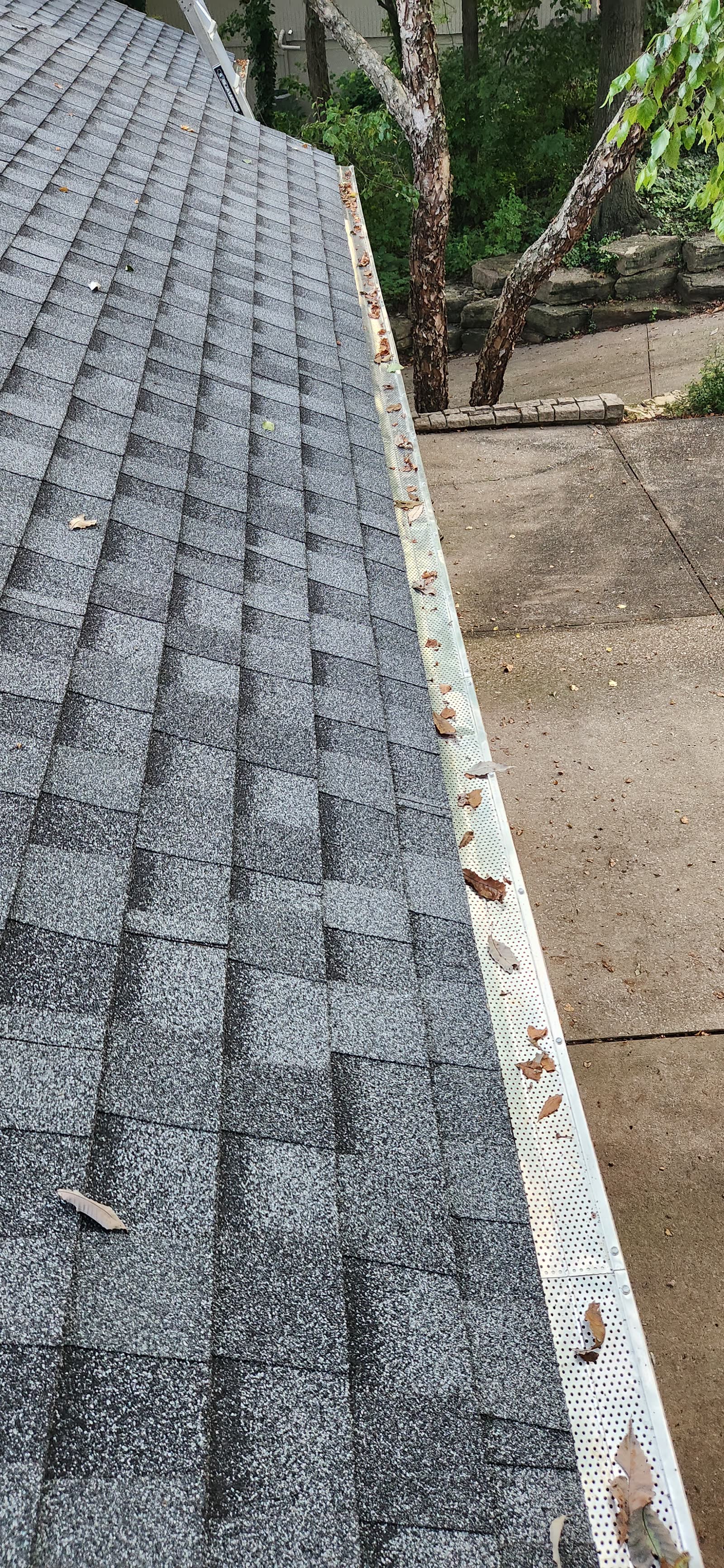 The Gutter Dude job photo