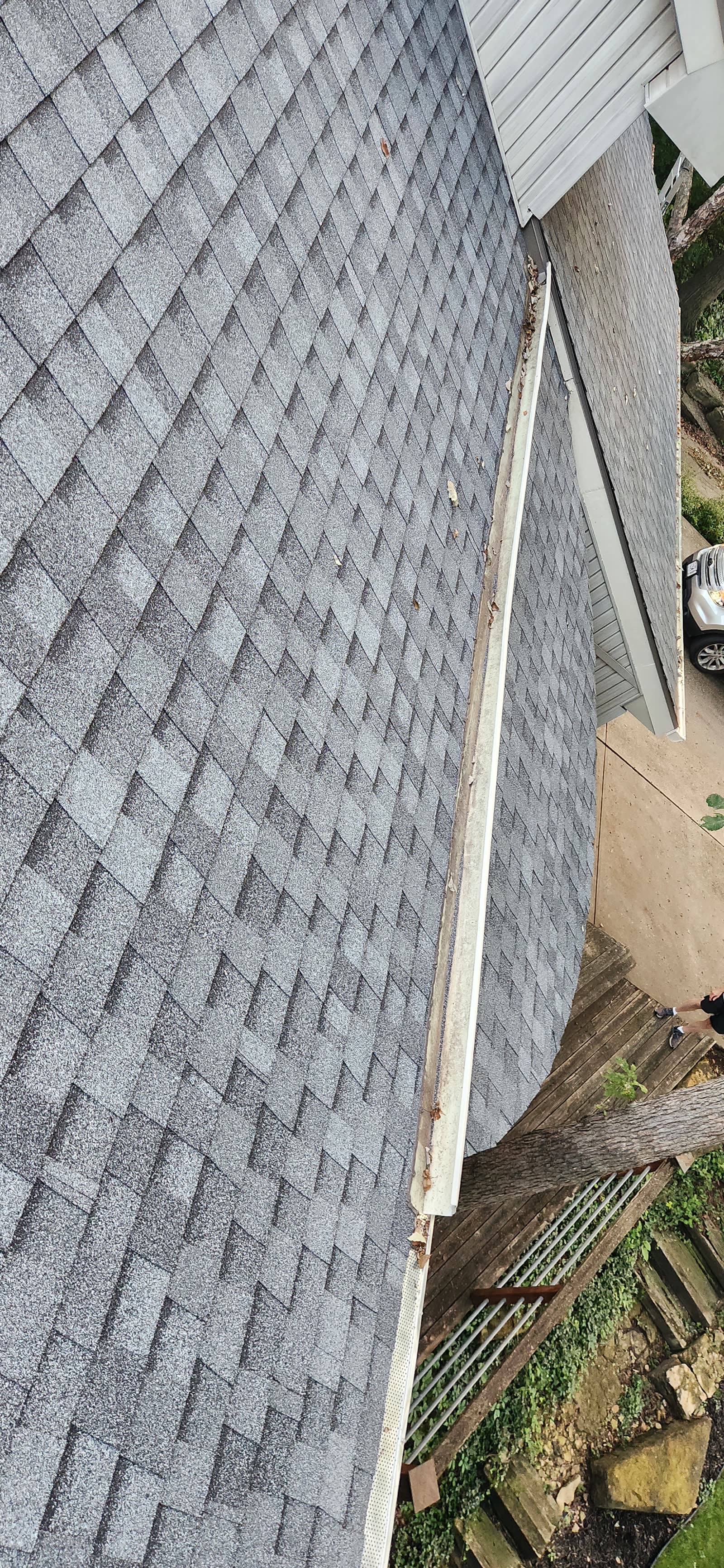 The Gutter Dude job photo